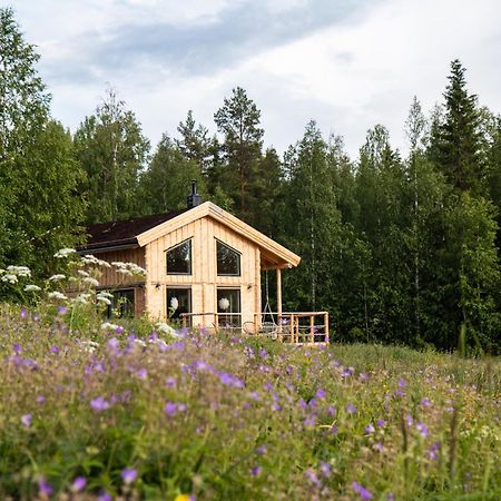 Blueberry Lodge 5 Personnes Mjolan Luaran gambar