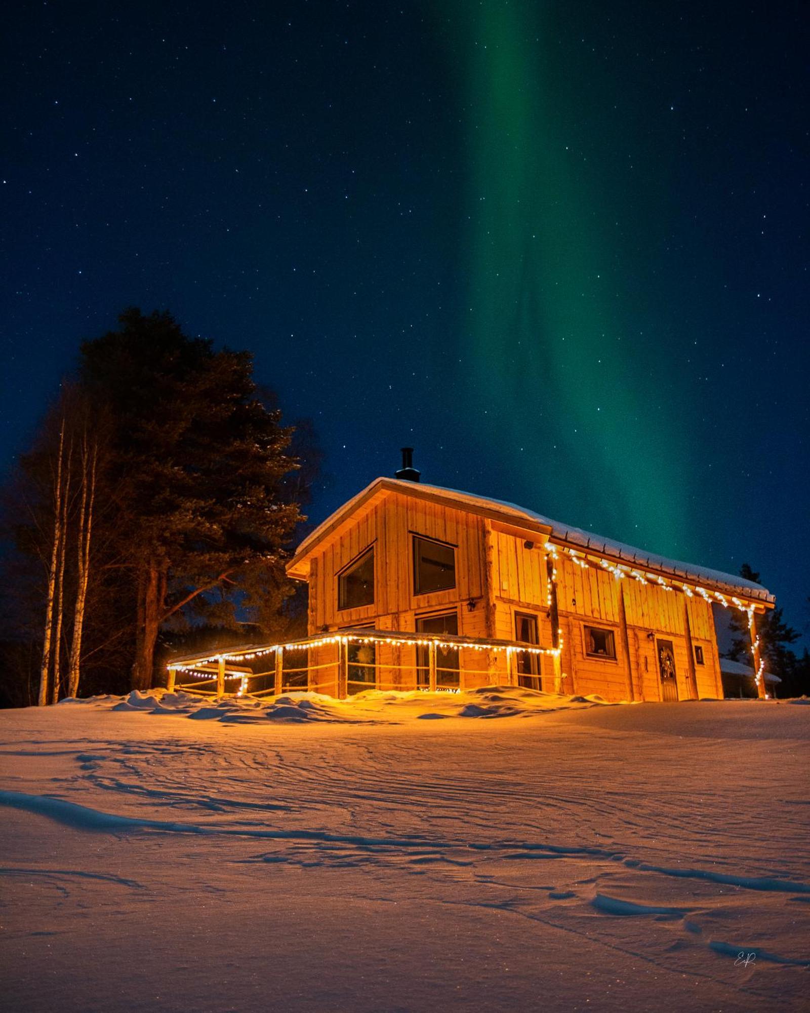 Blueberry Lodge 5 Personnes Mjolan Luaran gambar