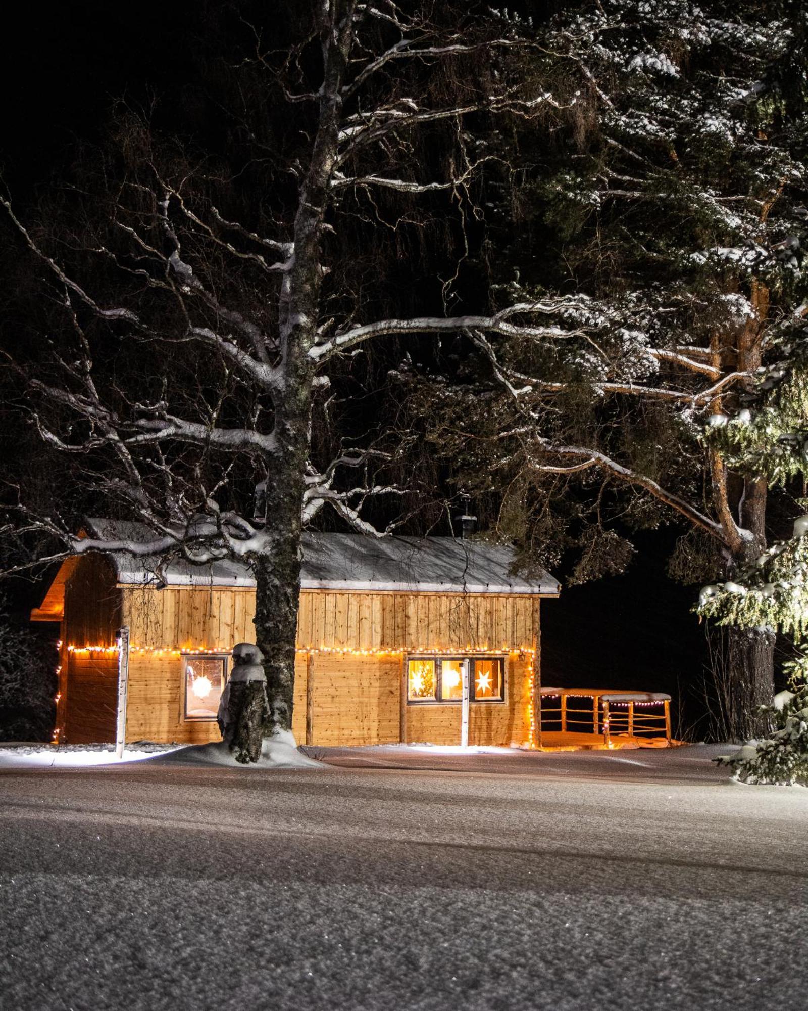 Blueberry Lodge 5 Personnes Mjolan Luaran gambar