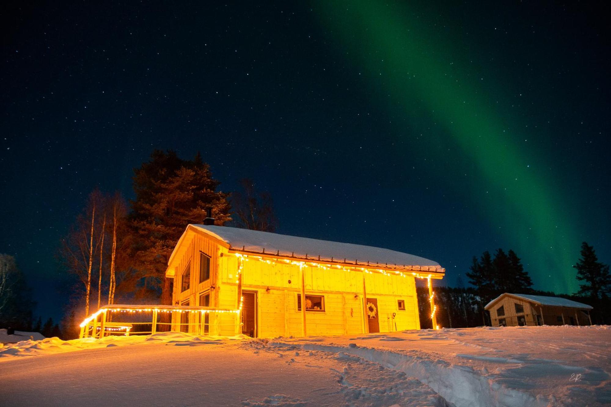 Blueberry Lodge 5 Personnes Mjolan Luaran gambar